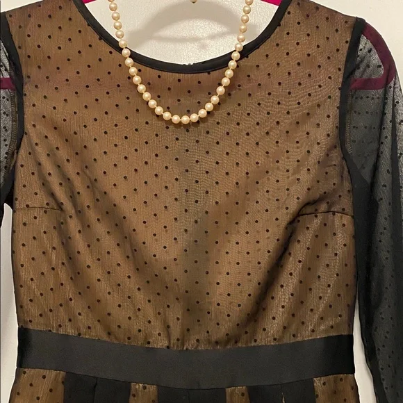 H&M Black and Tan Sheer Dress - Picture 3 of 11